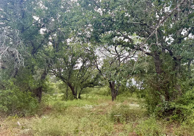 Photo 3 of Land for sale at 405 County Road 102, Santa Anna, TX 76878 | MLS# 21339228 | Listing updated on 2026-09-18