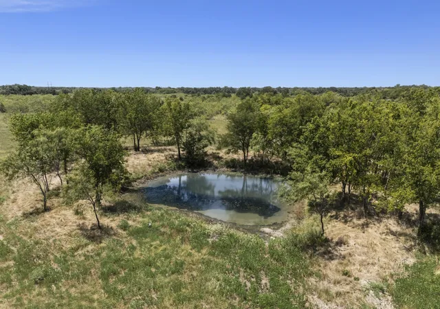 Photo 2 of Land for sale at Tbd County Rd 301, Terrell, TX 75160 | MLS# 21336573 | Listing updated on 2026-07-23