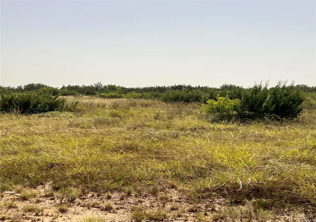 Photo 1 of Land for sale at Tbd Fm 1929, Paint Rock, TX 76866 | MLS# 21336534 | Listing updated on 2026-07-23