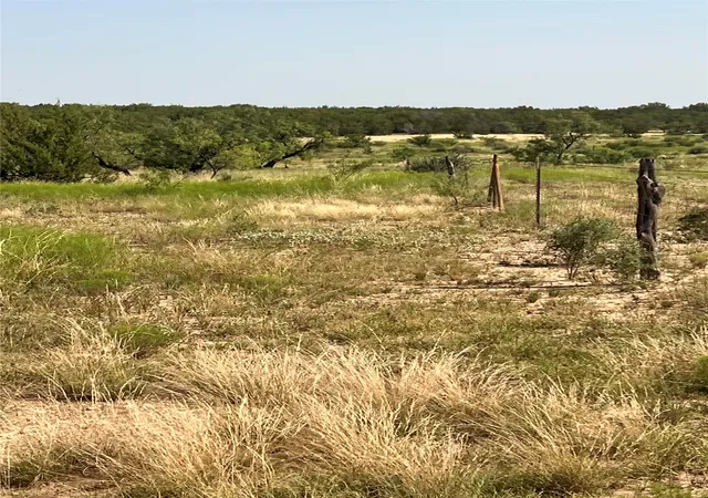 Photo 3 of Land for sale at Tbd Fm 1929, Paint Rock, TX 76866 | MLS# 21336534 | Listing updated on 2026-07-23