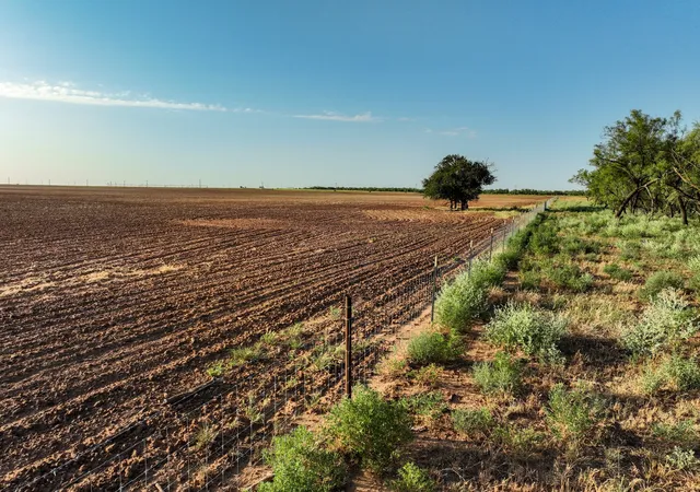 Photo 1 of Sale Pending at 80 4220 County Road, Knox City, TX 79529 | MLS# 21339434 | Listing updated on 2026-07-26