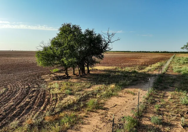 Photo 2 of Sale Pending at 80 4220 County Road, Knox City, TX 79529 | MLS# 21339434 | Listing updated on 2026-07-26