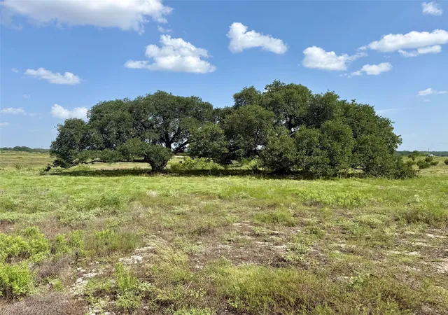 Photo 1 of Land for sale at 13ac Tbd Pr Fm 2905, Hamilton, TX 76531 | MLS# 21339040 | Listing updated on 2026-07-24