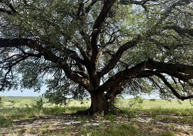 Photo 3 of Land for sale at 13ac Tbd Pr Fm 2905, Hamilton, TX 76531 | MLS# 21339040 | Listing updated on 2026-07-24