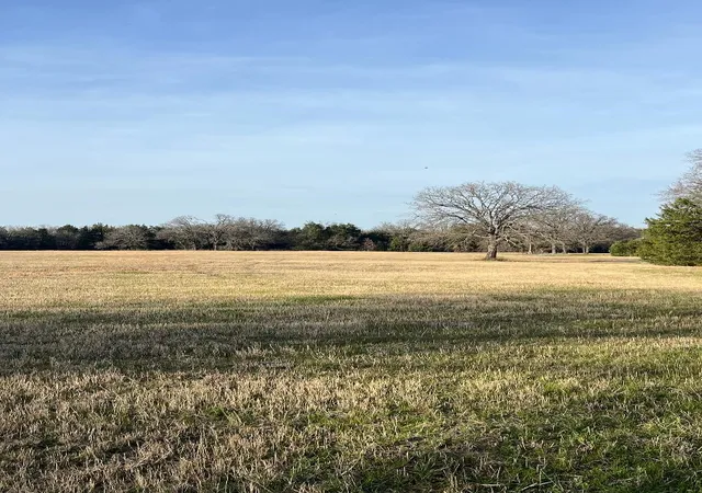 Photo 3 of Sale Pending at Tbd County Road 3501, Wills Point, TX 75169 | MLS# 21338844 | Listing updated on 2026-10-07