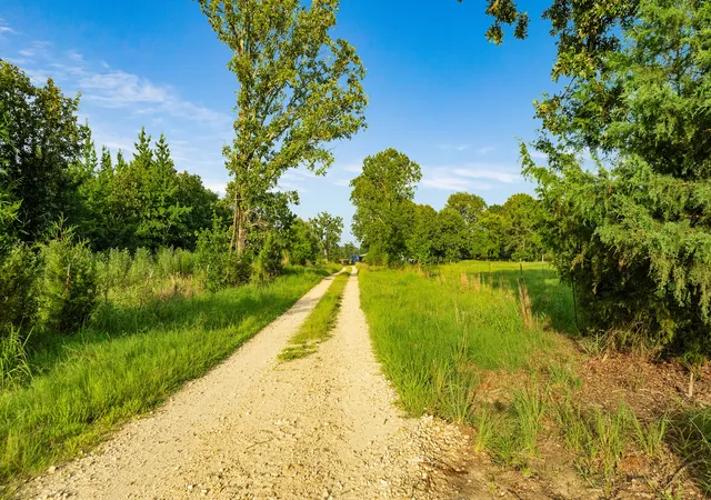 Photo 2 of Land for sale at Tract B Pr 43299, Powderly, TX 74743 | MLS# 21338663 | Listing updated on 2026-07-24