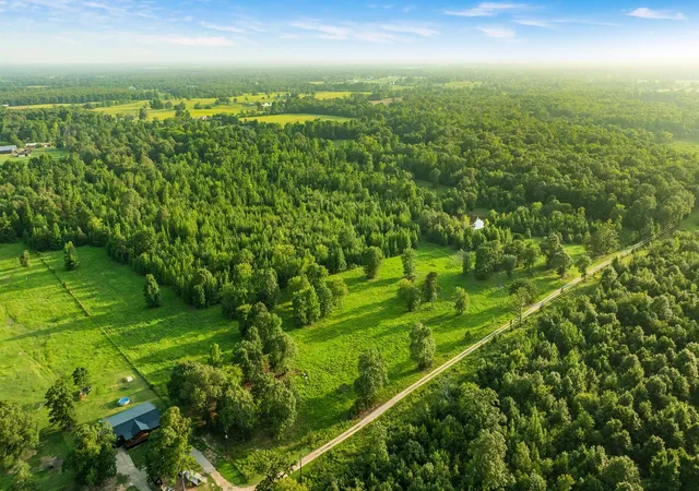 Photo 3 of Land for sale at Tract B Pr 43299, Powderly, TX 74743 | MLS# 21338663 | Listing updated on 2026-07-24