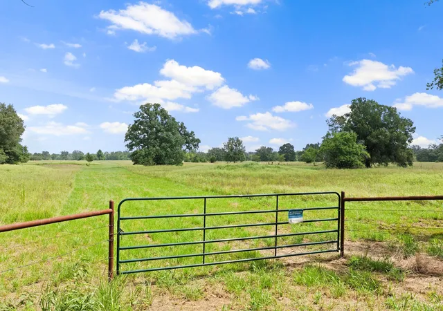 Photo 2 of Land for sale at 495 Ne County Road 2220, Talco, TX 75487 | MLS# 21339954 | Listing updated on 2026-07-24