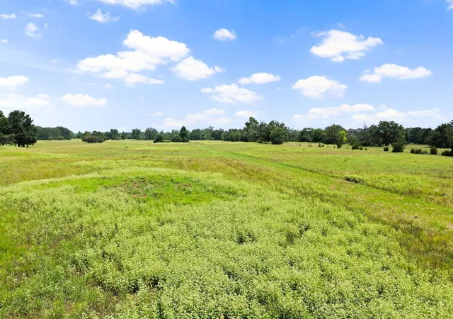 Land for sale at 495 Ne County Road 2220, Talco, TX 75487 | MLS# 21339954 | Listing updated on 2026-07-24