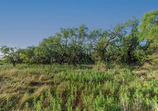 Photo 4 of Land for sale at 2055 Cr 472, Rochelle, TX 76825 | MLS# 21339577 | Listing updated on 2026-08-10