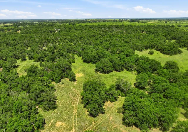 Photo 3 of Land for sale at 424 County Road 581, Cisco, TX 76437 | MLS# 21334072 | Listing updated on 2026-07-24