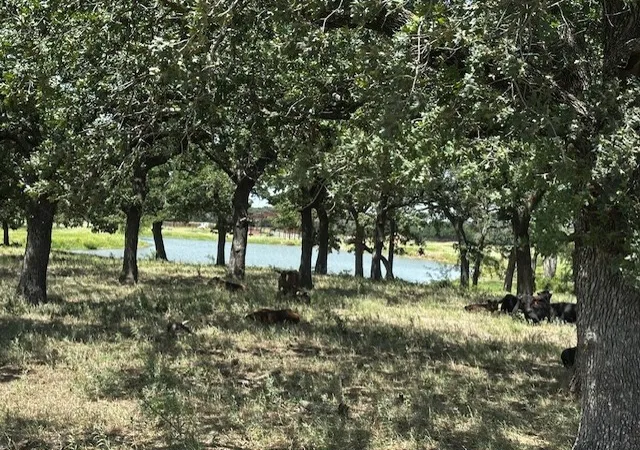 Photo 3 of Land for sale at 10400 Lipan Hwy, Lipan, TX 76462 | MLS# 21339982 | Listing updated on 2026-07-24