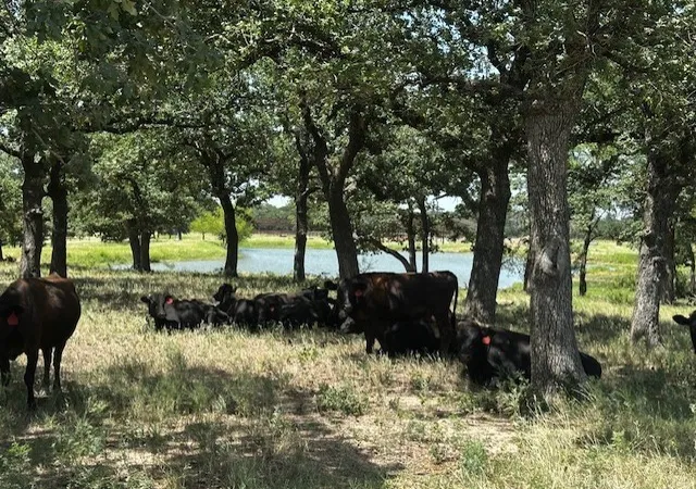 Photo 3 of House for sale at 10400 Lipan Hwy, Lipan, TX 76462 | MLS# 21339982 | Listing updated on 2026-07-24