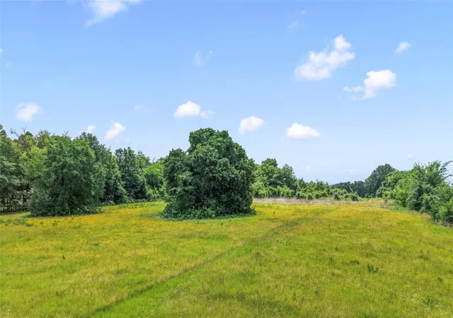 Photo 4 of Land for sale at 0 County Road 2300, Gun Barrel City, TX 75156 | MLS# 21334669 | Listing updated on 2026-07-24