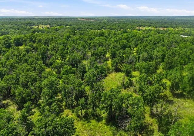 Photo 3 of Land for sale at Tbd County Rd 581, Cisco, TX 76437 | MLS# 21332620 | Listing updated on 2026-07-24