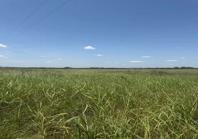 Photo 3 of Land for sale at 1262 Cr 134 E, Burlington, TX 76519 | MLS# 21340025 | Listing updated on 2026-09-19
