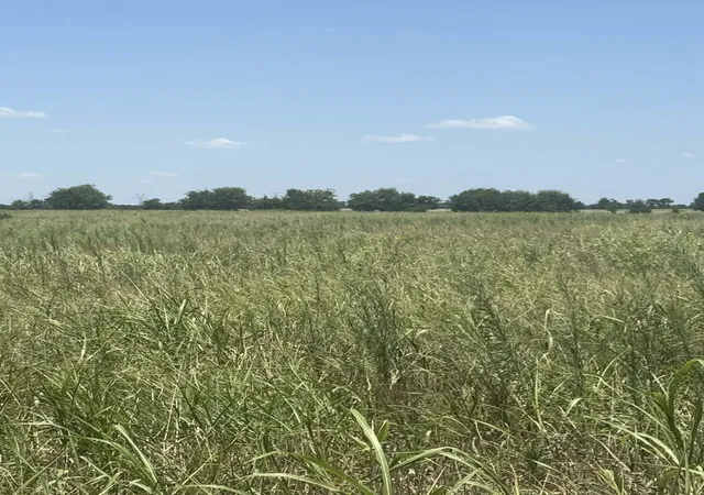 Photo 3 of Land for sale at 1262 Cr 134 E, Burlington, TX 76519 | MLS# 21340025 | Listing updated on 2026-09-19