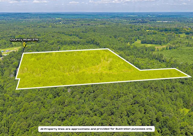 Photo 2 of Land for sale at Tbd County Road 276, Nacogdoches, TX 75961 | MLS# 21340159 | Listing updated on 2026-09-29