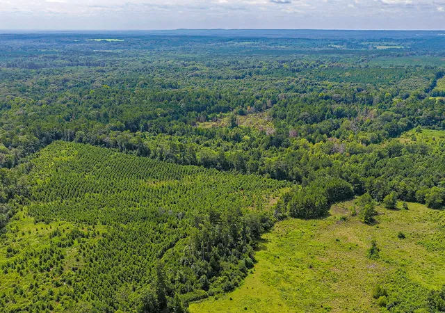 Photo 3 of Land for sale at Tbd County Road 276, Nacogdoches, TX 75961 | MLS# 21340159 | Listing updated on 2026-09-29