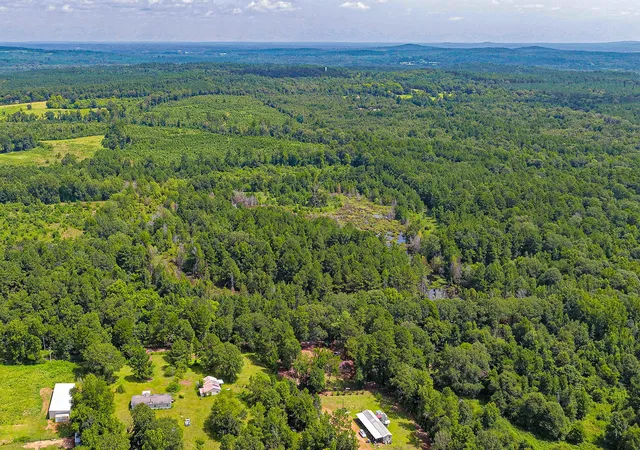 Photo 3 of Land for sale at Tbd County Road 276, Nacogdoches, TX 75961 | MLS# 21340159 | Listing updated on 2026-09-29