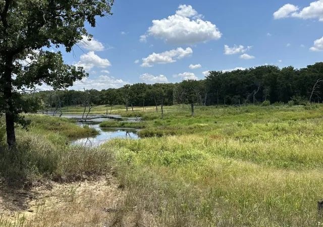 Photo 2 of Land for sale at 118 Elm Cove, Sunset, TX 76270 | MLS# 21340217 | Listing updated on 2026-09-16