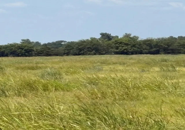 Photo 1 of Land for sale at Tbd County Road 3020, Bonham, TX 75418 | MLS# 21340129 | Listing updated on 2026-07-24