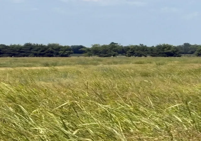 Photo 8 of Land for sale at Tbd County Road 3020, Bonham, TX 75418 | MLS# 21340129 | Listing updated on 2026-07-24