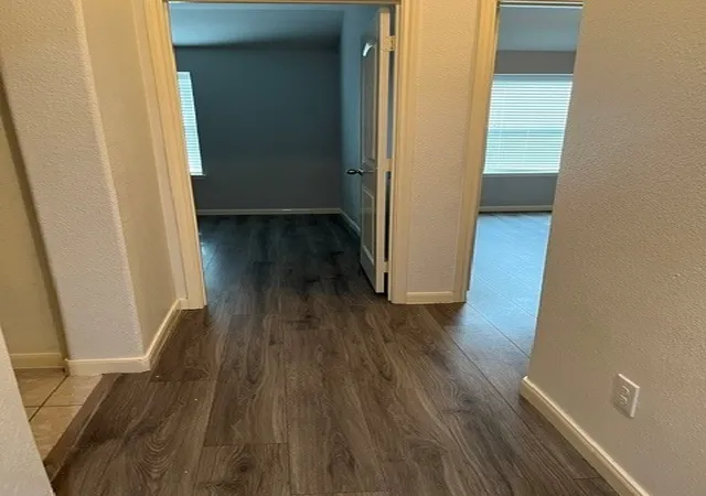 Photo 3 of Single family home for sale at 4665 Elderberry St, Forney, TX 75126 | MLS# 21340248 | Listing updated on 2026-08-19
