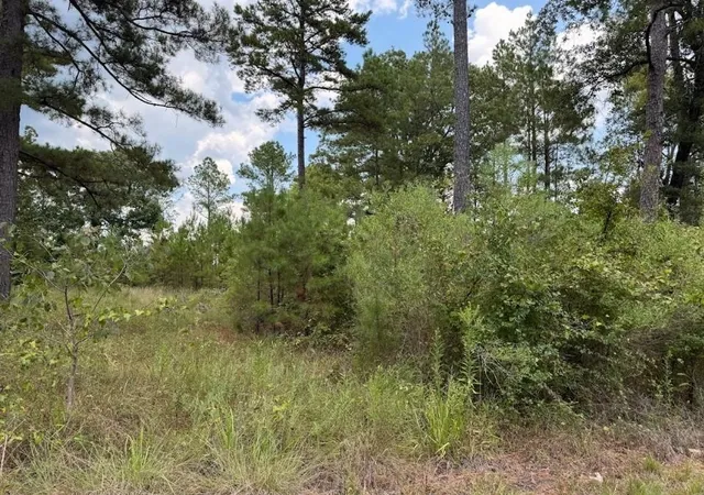 Photo 1 of Land for sale at 0 Hwy 157, Benton, LA 71006 | MLS# 21340622 | Listing updated on 2026-07-24