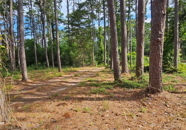 Photo 4 of Land for sale at Tbd Green Meadow Trl, Holly Lake Ranch, TX 75765 | MLS# 21322734 | Listing updated on 2026-08-22