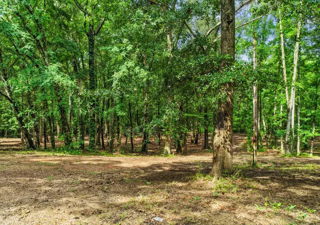 Photo 3 of Land for sale at 133 Sandy Lake, Scroggins, TX 75480 | MLS# 21340663 | Listing updated on 2026-07-25