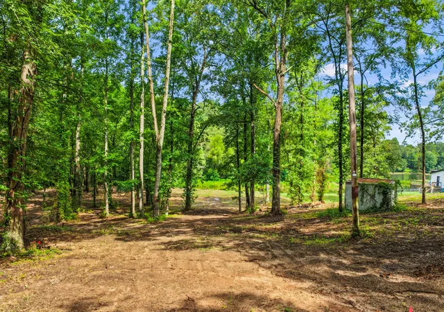 Photo 3 of Land for sale at 133 Sandy Lake, Scroggins, TX 75480 | MLS# 21340663 | Listing updated on 2026-07-25
