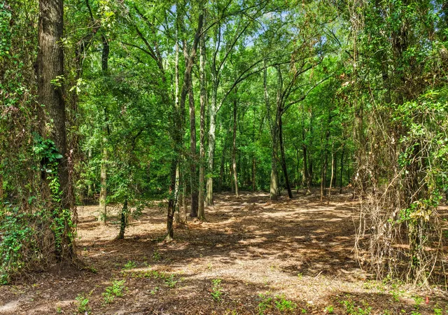 Photo 4 of Land for sale at 133 Sandy Lake, Scroggins, TX 75480 | MLS# 21340663 | Listing updated on 2026-07-25