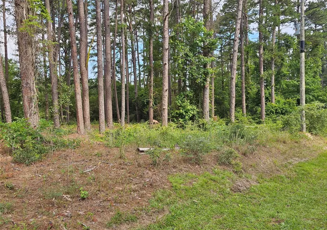 Photo 2 of Land for sale at Tbd Green Meadow Trail (lot 140), Holly Lake Ranch, TX 75765 | MLS# 21315252 | Listing updated on 2026-07-25