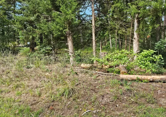 Photo 3 of Land for sale at Tbd Green Meadow Trail (lot 140), Holly Lake Ranch, TX 75765 | MLS# 21315252 | Listing updated on 2026-07-25