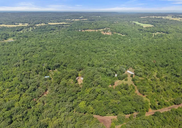 Photo 20 of Land for sale at 1684 An County Rd 441 Rd, Palestine, TX 75803 | MLS# 21339042 | Listing updated on 2026-07-25