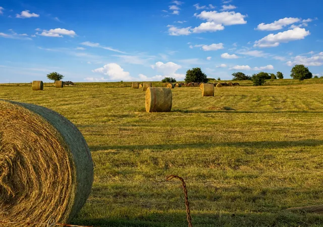 Photo 1 of Land for sale at Tbd County Road 2625, Decatur, TX 76234 | MLS# 21340567 | Listing updated on 2026-07-25
