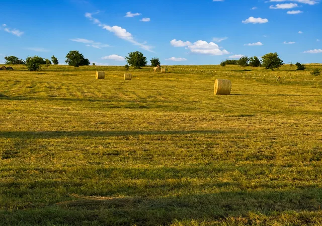 Photo 2 of Land for sale at Tbd County Road 2625, Decatur, TX 76234 | MLS# 21340567 | Listing updated on 2026-07-25