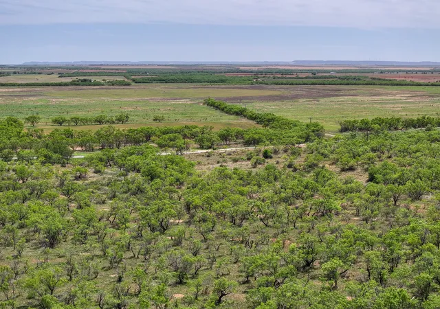 Photo 3 of Land for sale at Tbd Tract 2 Fm 3116, Hawley, TX 79525 | MLS# 21341274 | Listing updated on 2026-07-25