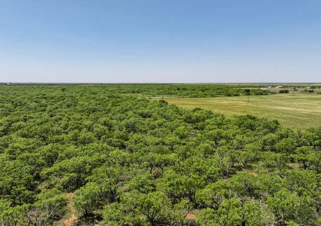 Photo 4 of Land for sale at Tbd Tract 2 Fm 3116, Hawley, TX 79525 | MLS# 21341274 | Listing updated on 2026-07-25