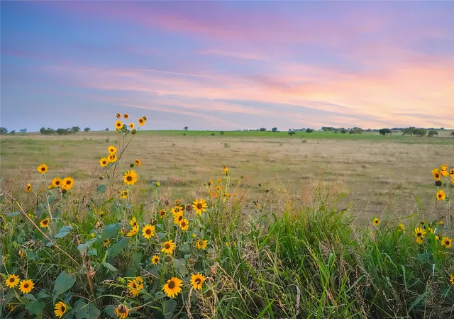 Photo 3 of Land for sale at 90 County Road 515, Gustine, TX 76455 | MLS# 21310438 | Listing updated on 2026-07-27
