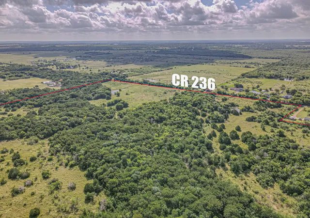 Photo 4 of Land for sale at Tbd Tract 1 County Road 236, Terrell, TX 75160 | MLS# 21341195 | Listing updated on 2026-08-23
