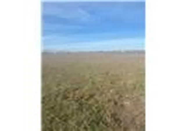 Photo 3 of Land for sale at 5000 Cr 5000, Lorena, TX 76655 | MLS# 21337844 | Listing updated on 2026-09-04