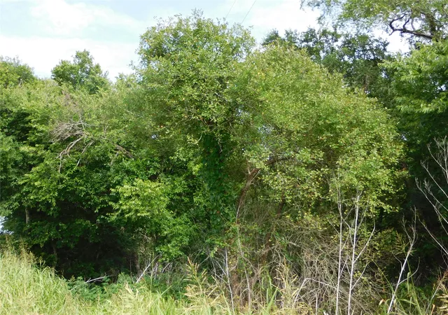 Photo 3 of Land for sale at Tbd Fm 2114, Hubbard, TX 76648 | MLS# 21341651 | Listing updated on 2026-08-19