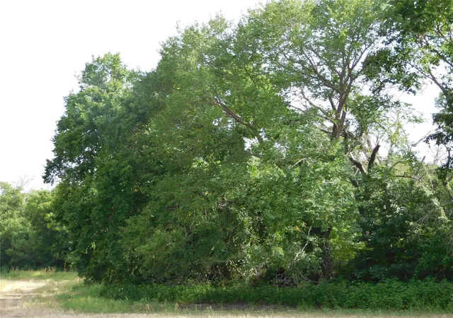 Photo 3 of Land for sale at Tbd Fm 2114, Hubbard, TX 76648 | MLS# 21341651 | Listing updated on 2026-08-19
