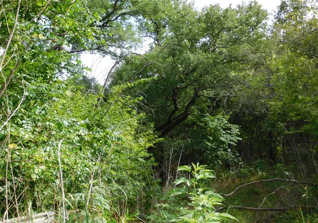 Photo 4 of Land for sale at Tbd Fm 2114, Hubbard, TX 76648 | MLS# 21341651 | Listing updated on 2026-08-19