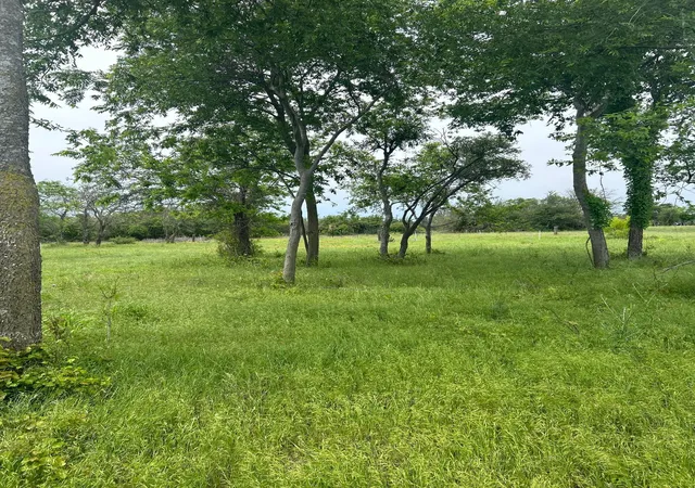 Photo 3 of Land for sale at Tbd Round Up Ct, Stephenville, TX 76401 | MLS# 21339683 | Listing updated on 2026-09-05