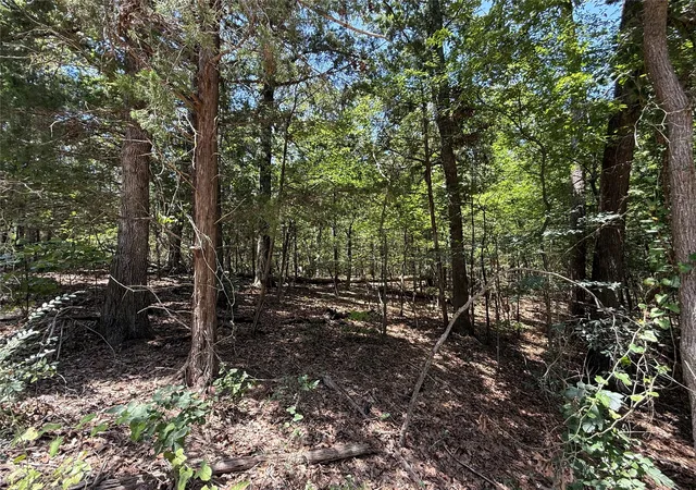 Photo 2 of Land for sale at Tbd Whispering Pine Trl, Mount Vernon, TX 75457 | MLS# 21341840 | Listing updated on 2026-07-27
