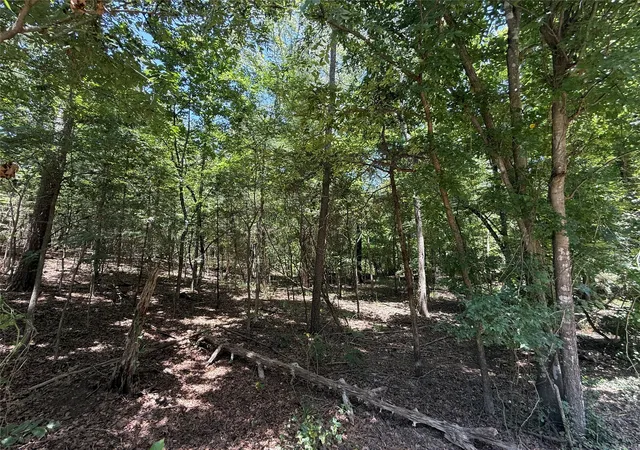 Photo 3 of Land for sale at Tbd Whispering Pine Trl, Mount Vernon, TX 75457 | MLS# 21341840 | Listing updated on 2026-07-27