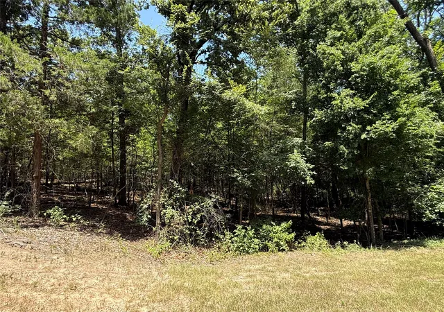 Photo 2 of Land for sale at Tbd Whispering Pine Trail, Mount Vernon, TX 75457 | MLS# 21341850 | Listing updated on 2026-07-27